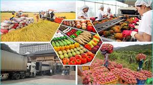 Xuất khẩu nông, lâm, thuỷ sản đạt hơn 43 tỷ USD