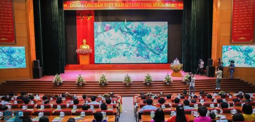 Vải thiều Bắc Giang mở rộng thêm nhiều thị trường xuất khẩu