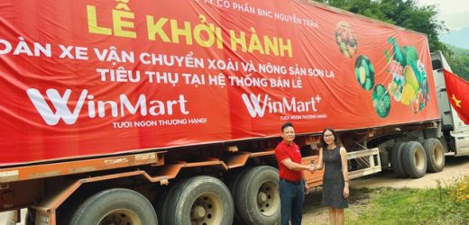 WinCommerce cam kết tiêu thụ 400 – 500 tấn xoài Sơn La