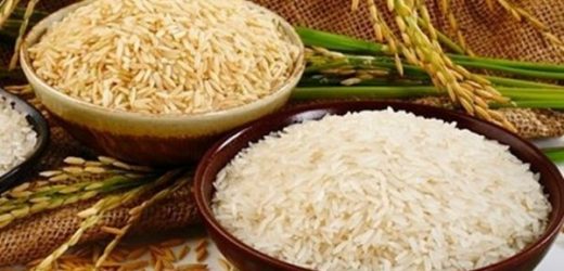 Giá chào bán gạo xuất khẩu 5% tấm đang ở mức 423 USD/tấn