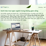 ‘Xanh’ để khoẻ – Thế hệ trẻ ngày càng đề cao những giá trị từ thiên nhiên