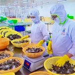 Doanh nghiệp thủy sản xuất khẩu đối mặt hàng loạt rào cản